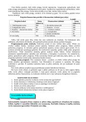 Verslo planas. Konspektas 7 puslapis