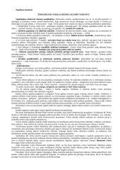 Verslo planas. Konspektas 8 puslapis