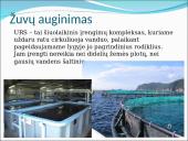 Akvakultūra 6 puslapis