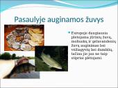 Akvakultūra 10 puslapis