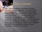 Oro tarša. Pristatymas 14 puslapis