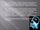 Oro tarša. Pristatymas 15 puslapis