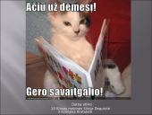 Oro tarša. Pristatymas 17 puslapis