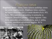 Oro tarša. Pristatymas 10 puslapis