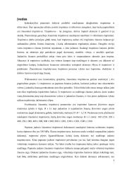 Žiauninio trupintuvo su paprastu žiaunos judesiu kursinis darbas 2 puslapis