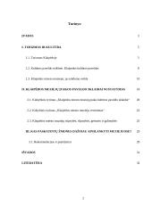 Klaipėdos miesto muziejų įtaka kultūros paveldo sklaidai 2 puslapis