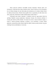 Klaipėdos miesto muziejų įtaka kultūros paveldo sklaidai 17 puslapis