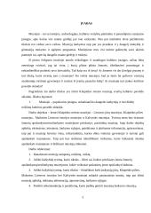 Klaipėdos miesto muziejų įtaka kultūros paveldo sklaidai 3 puslapis