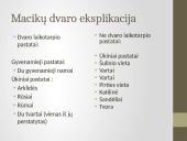 Macikų dvaro pritaikymas turizmui 3 puslapis