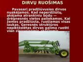 Linų auginimas 11 puslapis