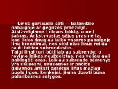 Linų auginimas 16 puslapis