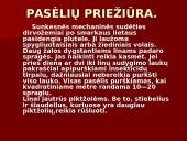 Linų auginimas 17 puslapis