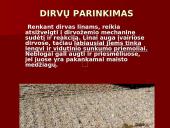 Linų auginimas 3 puslapis