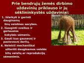 Linų auginimas 6 puslapis