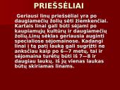 Linų auginimas 7 puslapis