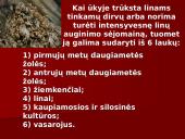 Linų auginimas 9 puslapis