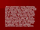 Linų auginimas 10 puslapis