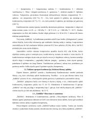 Apšvietimo ir kondicionavimo sistemos 13 puslapis