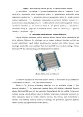 Apšvietimo ir kondicionavimo sistemos 15 puslapis