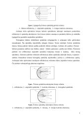 Apšvietimo ir kondicionavimo sistemos 3 puslapis
