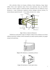 Apšvietimo ir kondicionavimo sistemos 5 puslapis