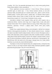Apšvietimo ir kondicionavimo sistemos 10 puslapis