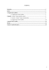 "Vaistinės" išorinės aplinkos analizė 2 puslapis