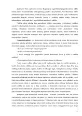 "Vaistinės" išorinės aplinkos analizė 12 puslapis