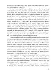 "Vaistinės" išorinės aplinkos analizė 13 puslapis