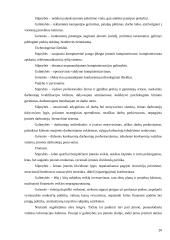 "Vaistinės" išorinės aplinkos analizė 20 puslapis