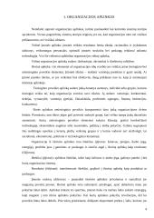 "Vaistinės" išorinės aplinkos analizė 4 puslapis