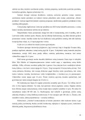 "Vaistinės" išorinės aplinkos analizė 10 puslapis