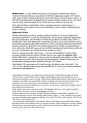 Rokenrolas 2 puslapis