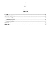 Specialybės kalba. Referatas 2 puslapis