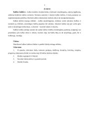 Specialybės kalba. Referatas 3 puslapis