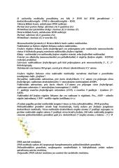 Molekulinės biologijos konspektas 6 puslapis
