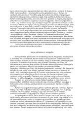 Aš, vaizdas ir savivertė 3 puslapis