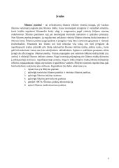 Šilumos punktai 3 puslapis