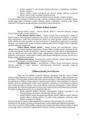 Šilumos punktai 6 puslapis