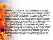 Bendravimas ir individualūs skirtumai 11 puslapis