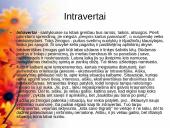 Bendravimas ir individualūs skirtumai 17 puslapis