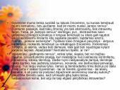 Bendravimas ir individualūs skirtumai 18 puslapis