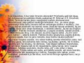 Bendravimas ir individualūs skirtumai 19 puslapis