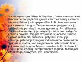 Bendravimas ir individualūs skirtumai 8 puslapis