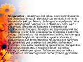 Bendravimas ir individualūs skirtumai 10 puslapis