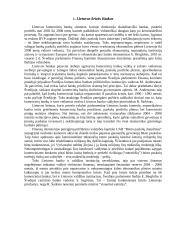 Lietuvos ekonominės krizės priežastys 3 puslapis
