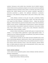 Bausmių taikomų nepilnamečiams rūšys, terminai, vykdymo ypatumai ir  institucijos 13 puslapis