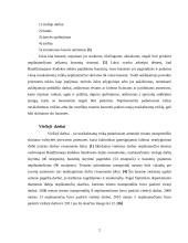 Bausmių taikomų nepilnamečiams rūšys, terminai, vykdymo ypatumai ir  institucijos 3 puslapis