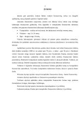 Trumpalaikio finansavimo galimybės 2 puslapis