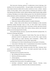 Trumpalaikio finansavimo galimybės 11 puslapis